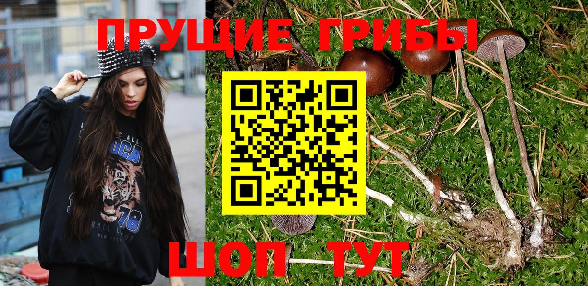 Галлюциногенные грибы GOLDEN TEACHER Тулун
