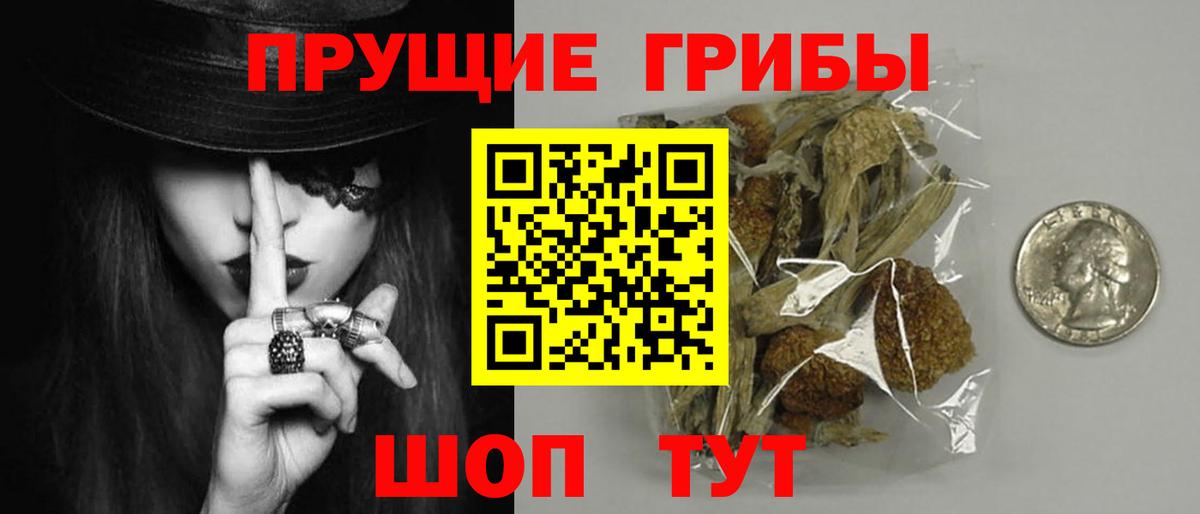 Псилоцибиновые грибы мухоморы  Галлюциногенные грибы ЛСД  Вход с VPN  Тулун 